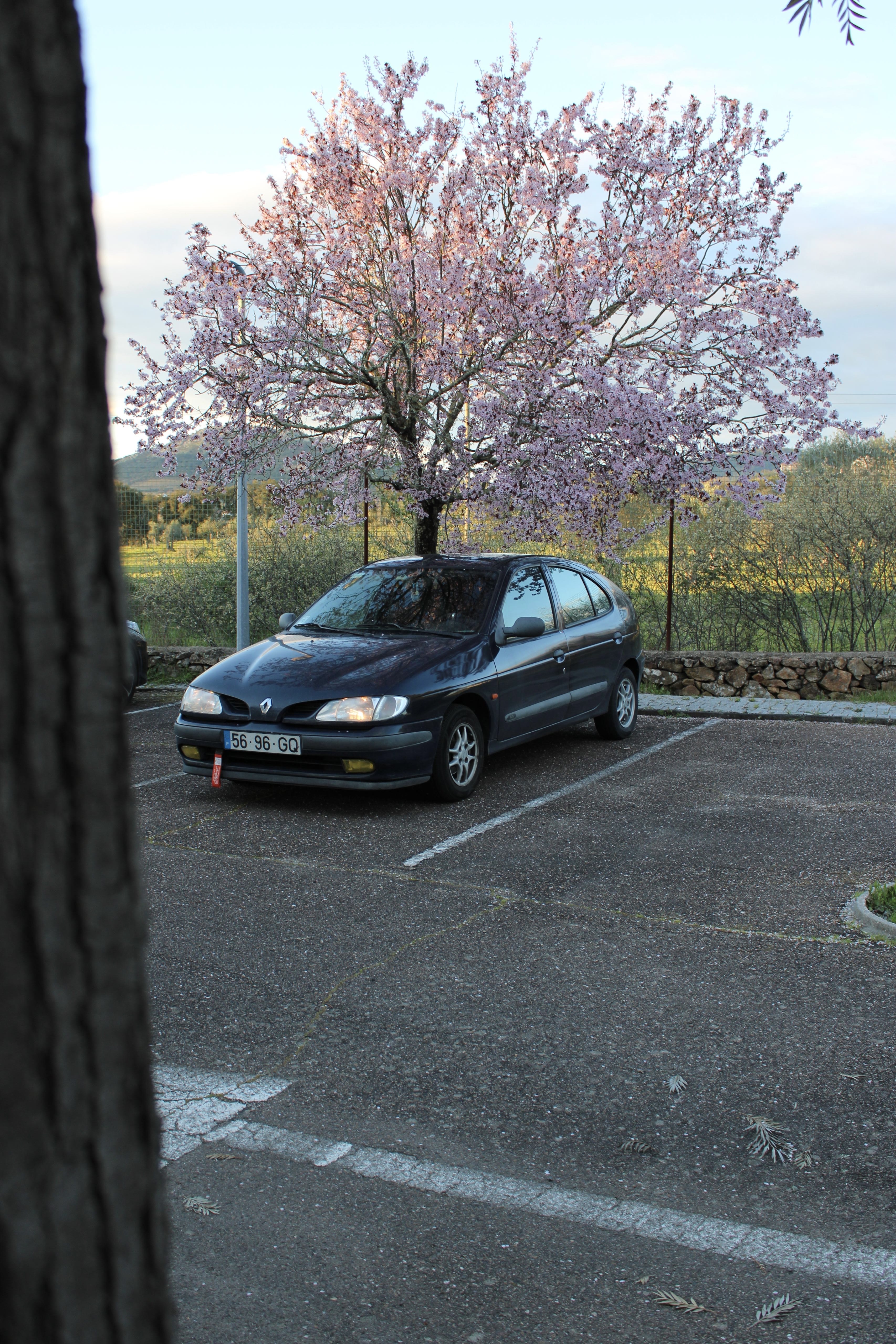 Renault Mégane em destaque